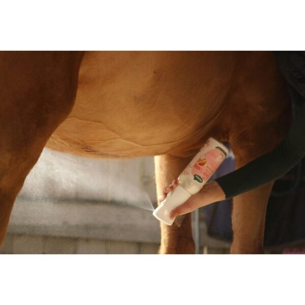 Easy Shine RAVENE Intense, Recharge – Image 4