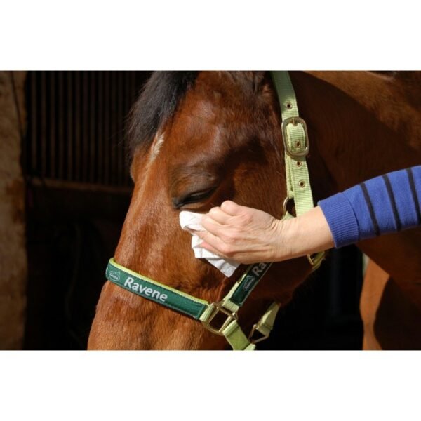 Easy Shine Wipe Lingettes nettoyantes RAVENE – Image 2
