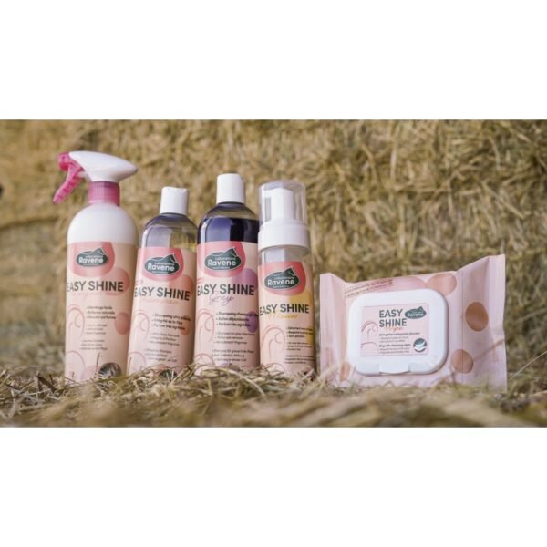 Easy Shine Wipe Lingettes nettoyantes RAVENE – Image 3