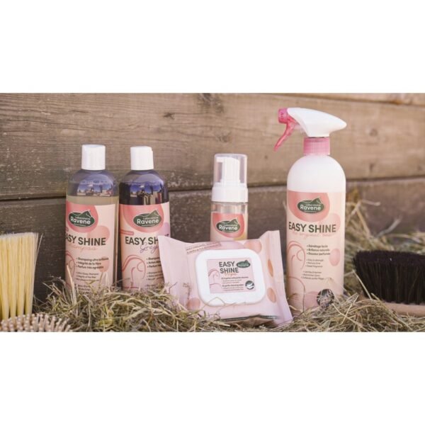 Easy Shine Wipe Lingettes nettoyantes RAVENE – Image 4