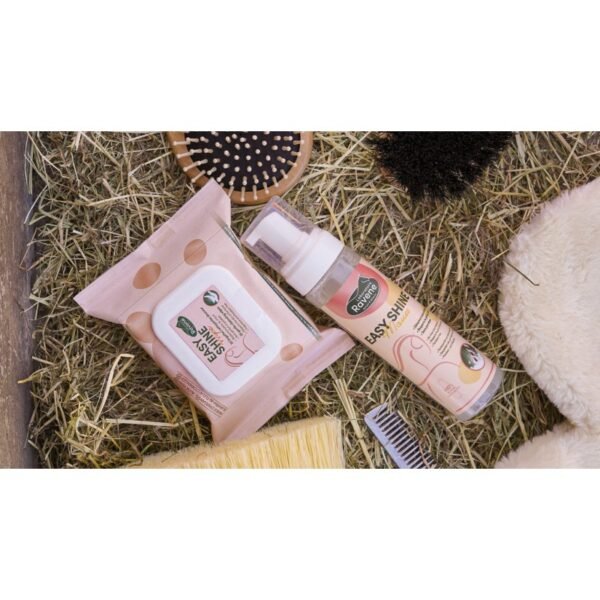 Easy Shine Wipe Lingettes nettoyantes RAVENE – Image 5