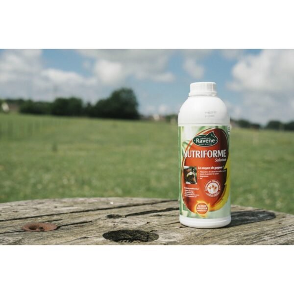 Nutriforme RAVENE – Image 2