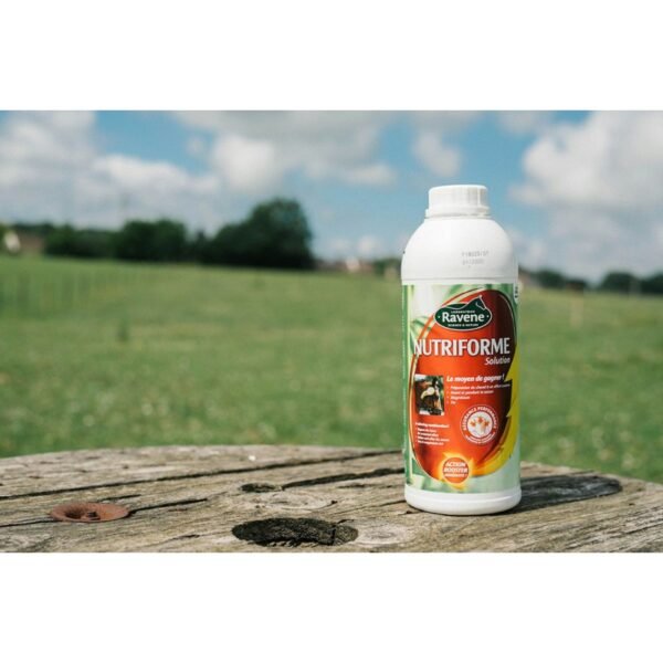 Nutriforme RAVENE – Image 3