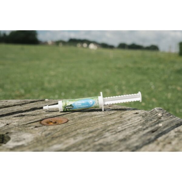 Nutrilyte Flash RAVENE – Image 2