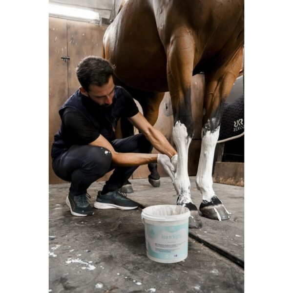 Pâte relaxante tendons et articulations REKOR "Ice N'Tight" – Image 5