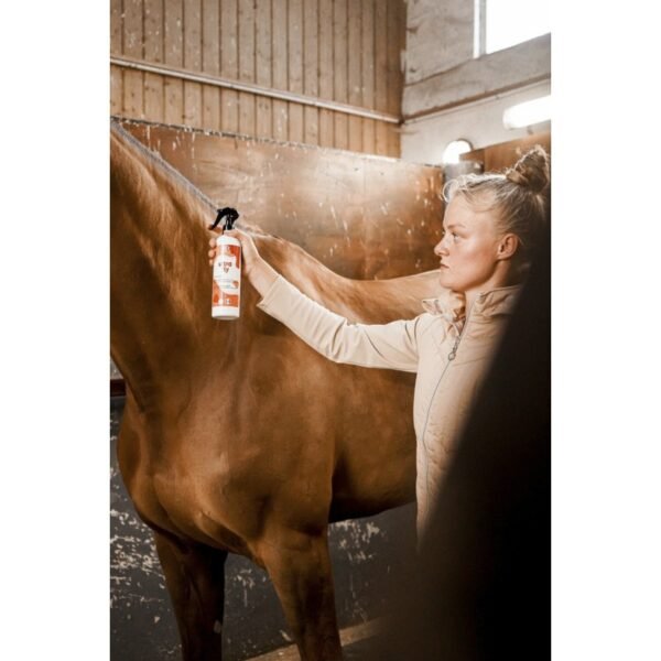 Répulsif insecticide REKOR "Ultra Fly" – Image 4