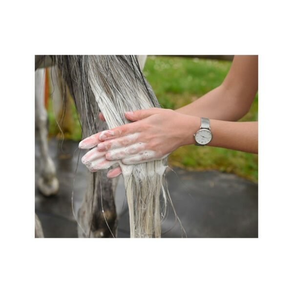 Shampooing à la citronnelle du Maréchal – Image 6